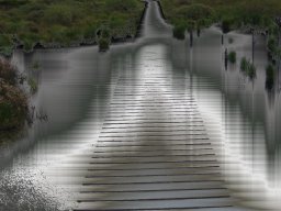 Vennhorizont